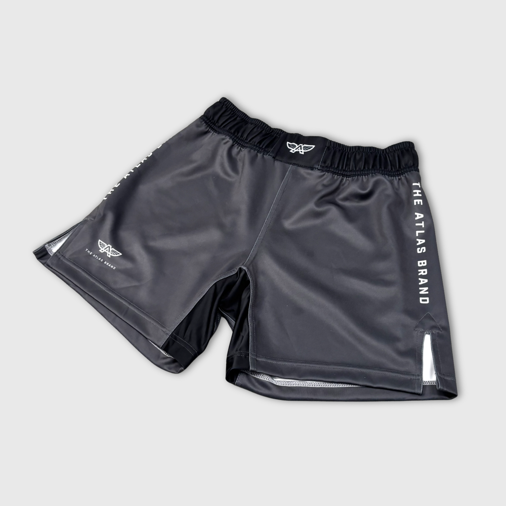The Atlas Brand - AXIS Shorts - Slate