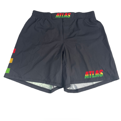 CLEARANCE Atlas Shorts - Rasta Sample XL