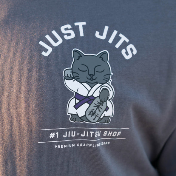 BJJ Cat Hoodie