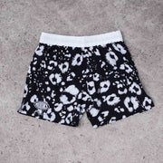 Hooks Women's Grappling & MMA Shorts - Prowl flat lay